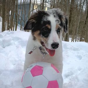 Meet your Posher, Olivia simone